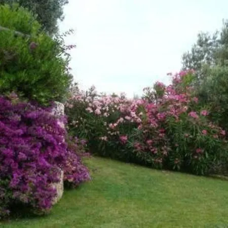 In Mit Grossem Garten * פינאלה ליגורה