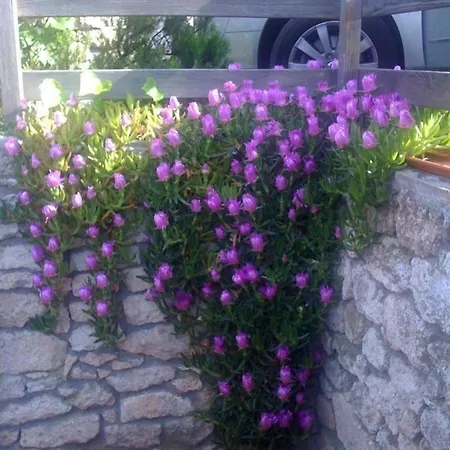דירה In Mit Grossem Garten
